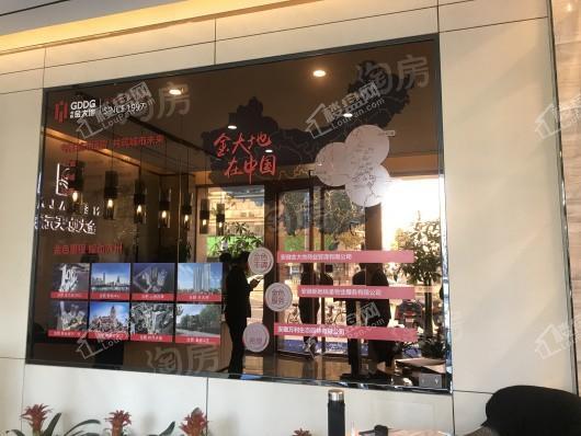 金大地天元府实景图