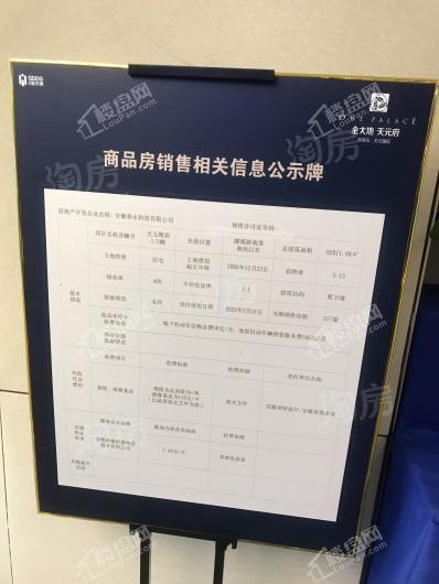 金大地天元府实景图