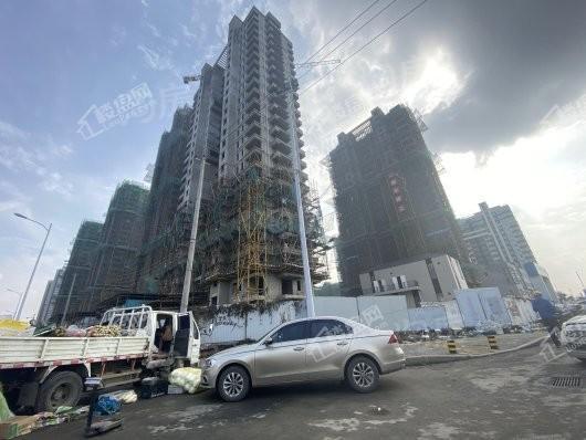 绿都地产少荃府实景图