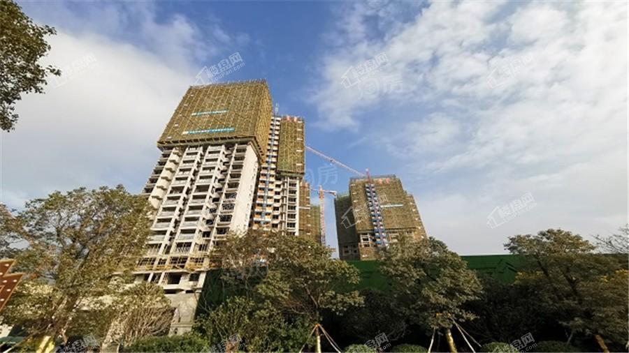 新城·悦隽风华实景图