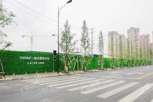 正成光华梧桐实景图