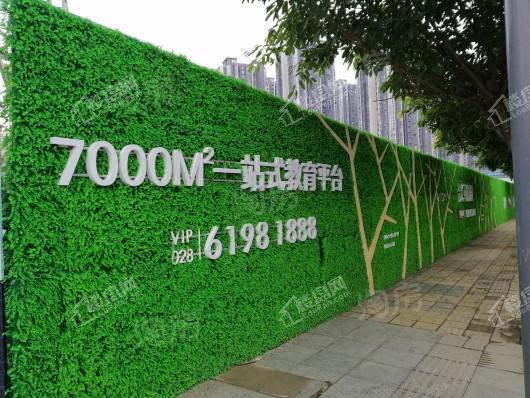 正成光华梧桐实景图