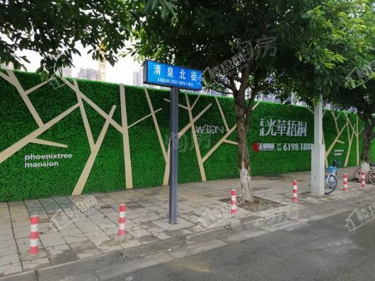 正成光华梧桐实景图