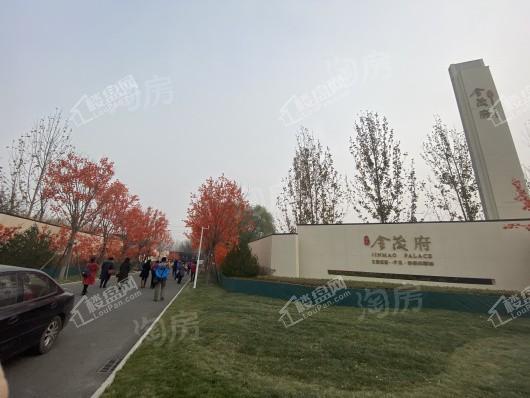 未来金茂府实景图