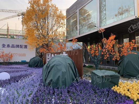 金辰府实景图
