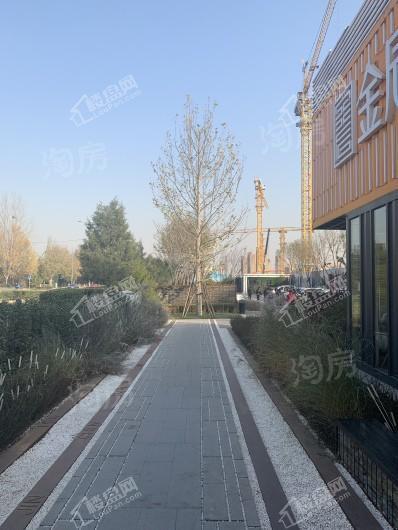 实景图