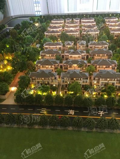 棠颂别墅·璟庐实景图