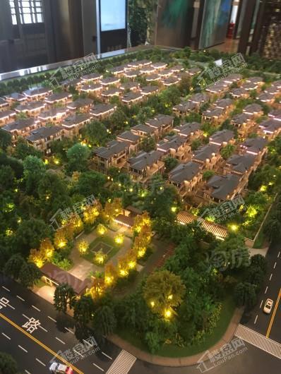 棠颂别墅·璟庐实景图