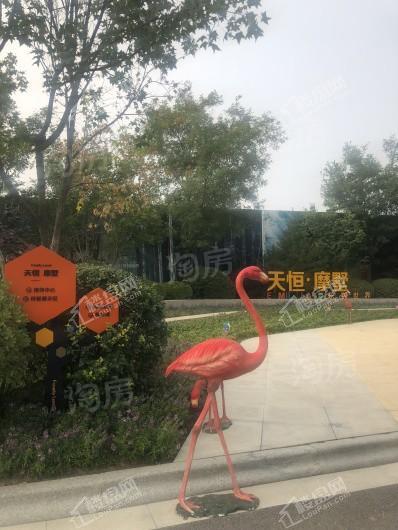 天恒·摩墅实景图