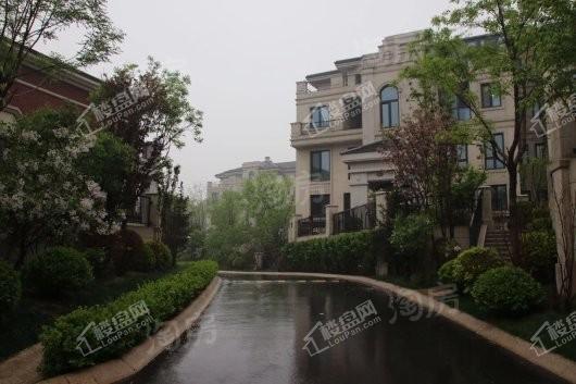 V7荷塘月色实景图