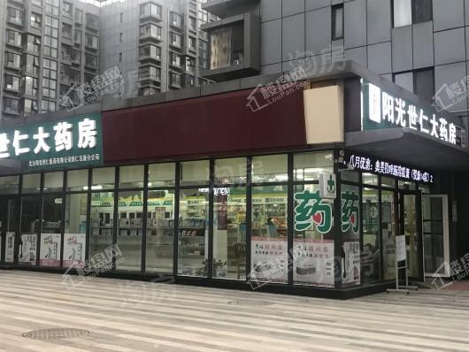 天资华府配套图