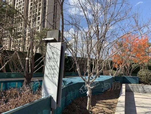 中粮·京西祥云实景图