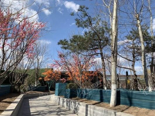 中粮·京西祥云实景图