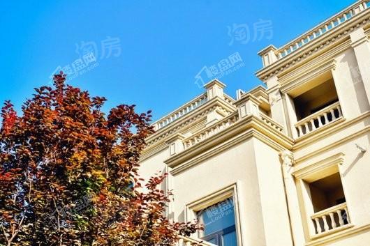 天恒乐墅实景图