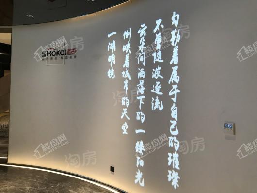 首开·熙悦观湖实景图