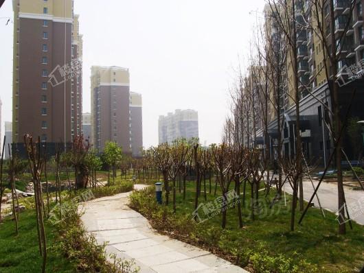 九洲溪雅苑实景图
