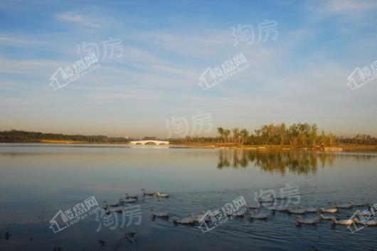 中铁华侨城·和园配套图