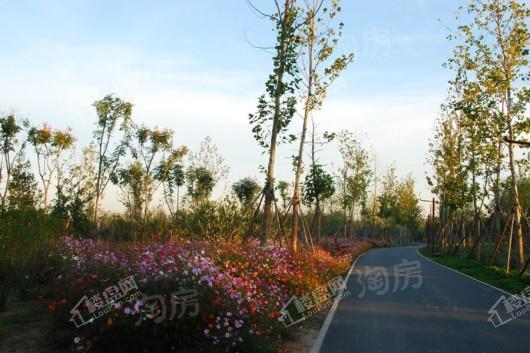 中铁华侨城·和园配套图