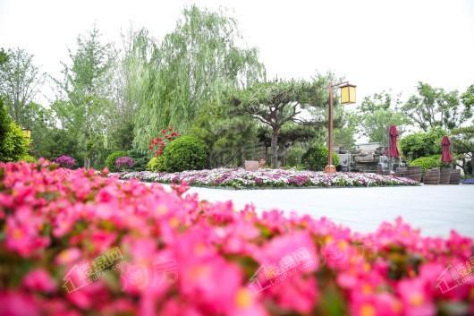 顺鑫·颐和天璟实景图