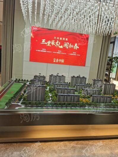 大兴金茂悦实景图
