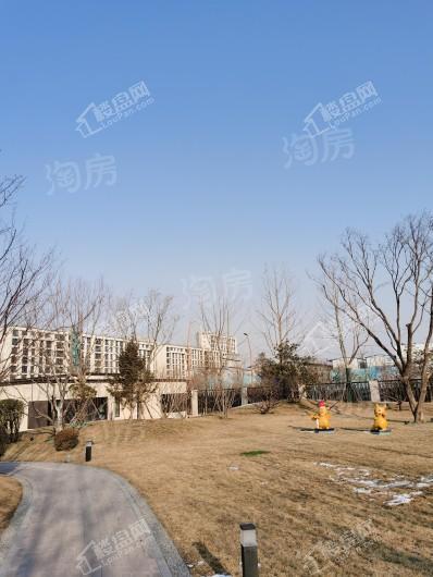 大兴金茂悦实景图