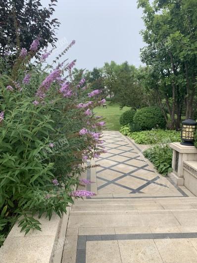 天恒·水岸壹号实景图