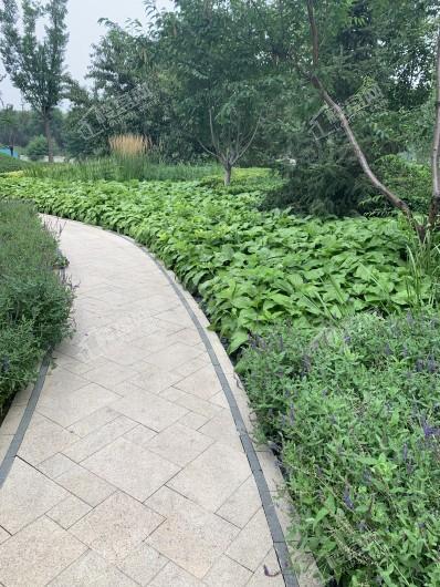 天恒·水岸壹号实景图