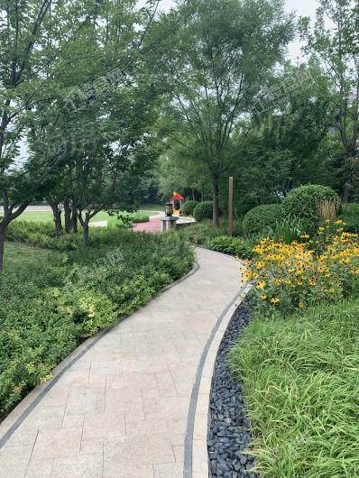 天恒·水岸壹号实景图