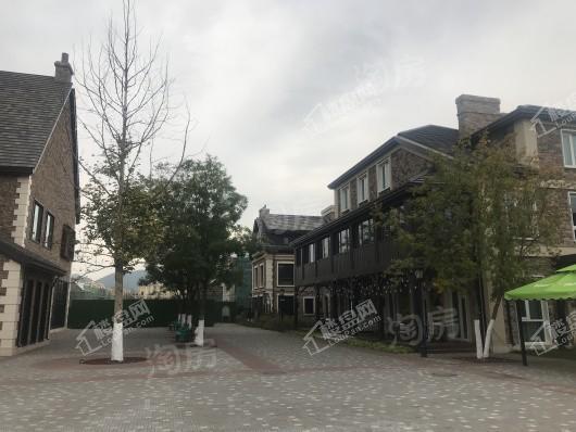 万科弗农小镇实景图