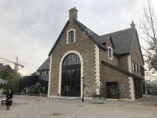 万科弗农小镇实景图