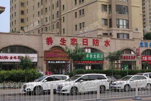西宸原著配套图