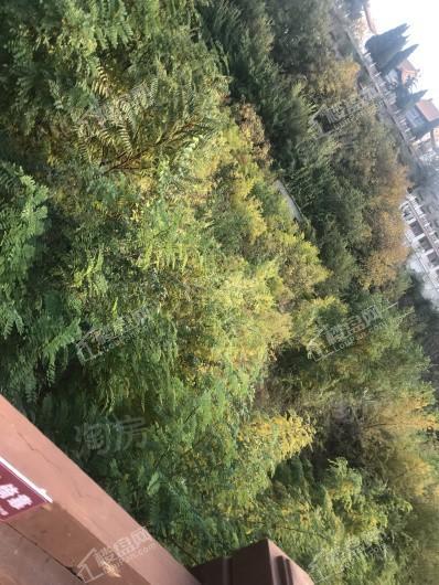 和棠瑞著实景图