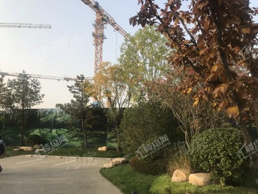 和棠瑞著实景图