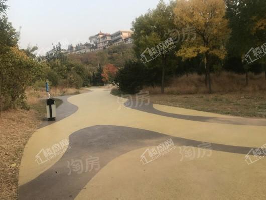 和棠瑞著配套图