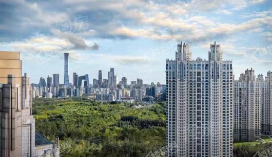 实景图