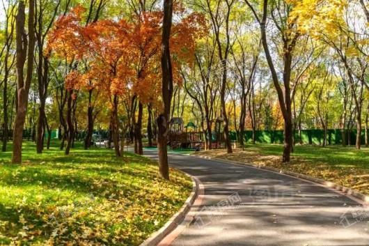 缦合·北京实景图