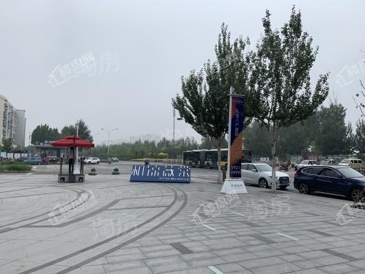 和锦薇棠实景图