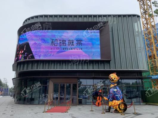 和锦薇棠实景图