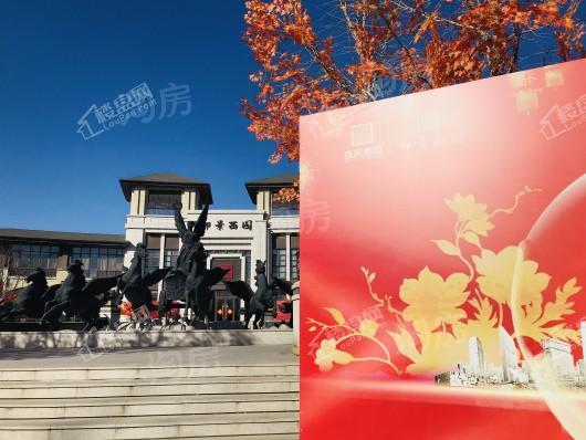 珠光御景西园实景图