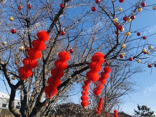 珠光御景西园实景图