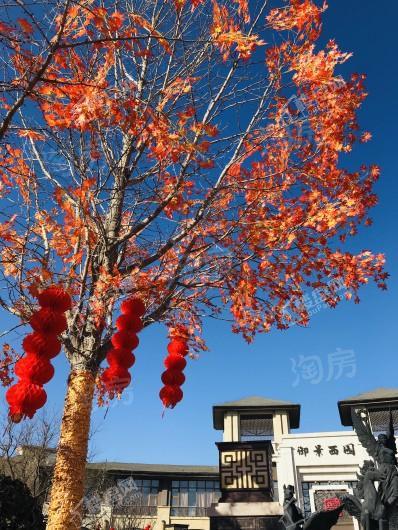 珠光御景西园实景图