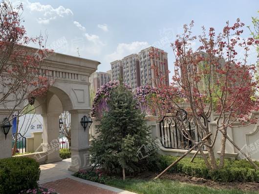 金隅上城庄园实景图