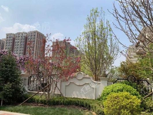 金隅上城庄园实景图