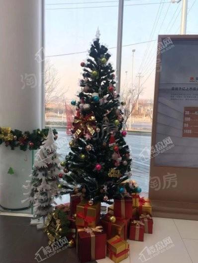 和悦华玺实景图