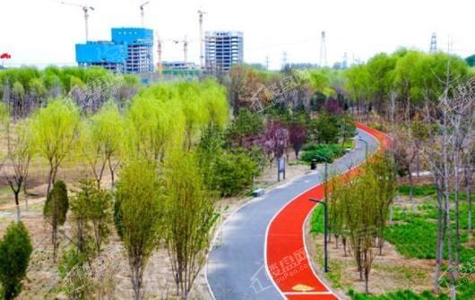 未来公元配套图
