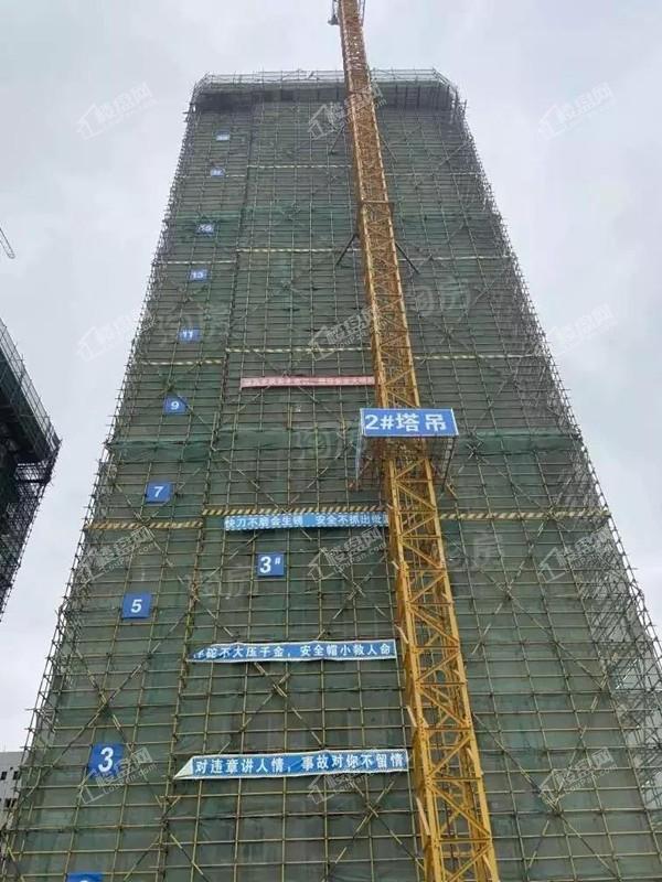 宋都江韵朝阳实景图