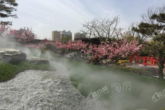 蓝光·雅居乐雍锦半岛实景图