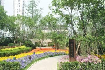丽景长安实景图
