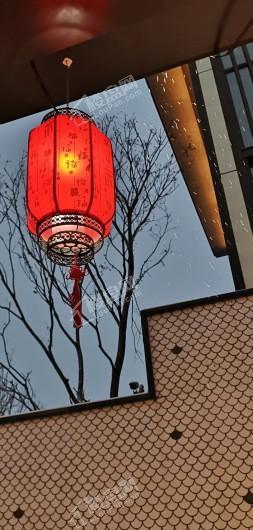 龙湖天宸原著实景图