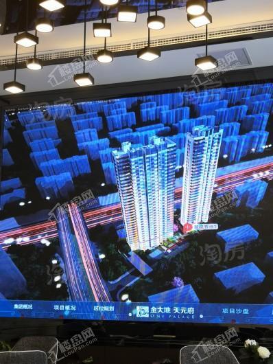 金大地天元府实景图